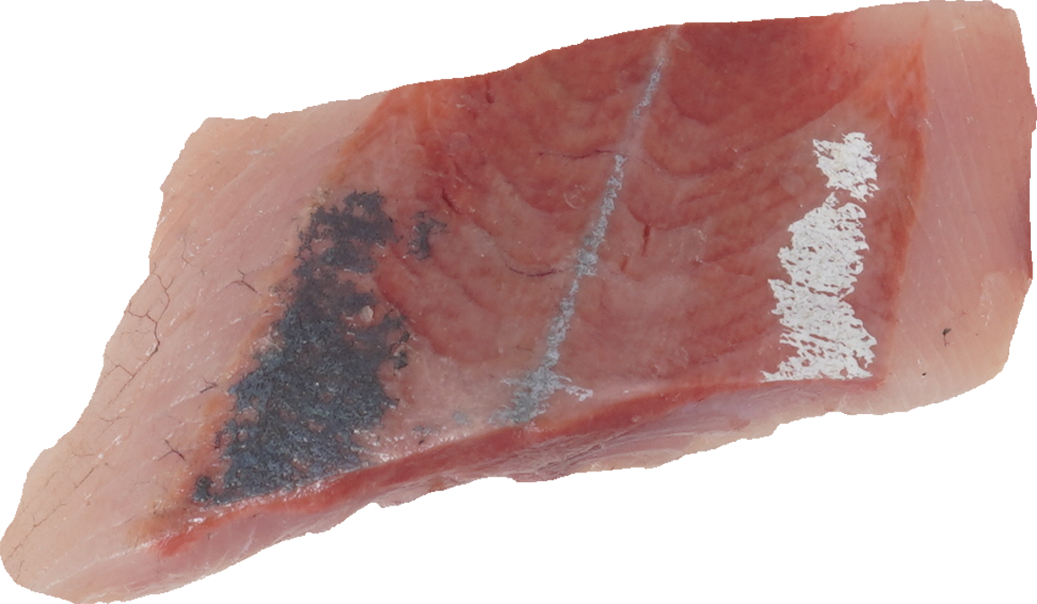 ぶり（つばす）｜商用可フリー画像・背景透過