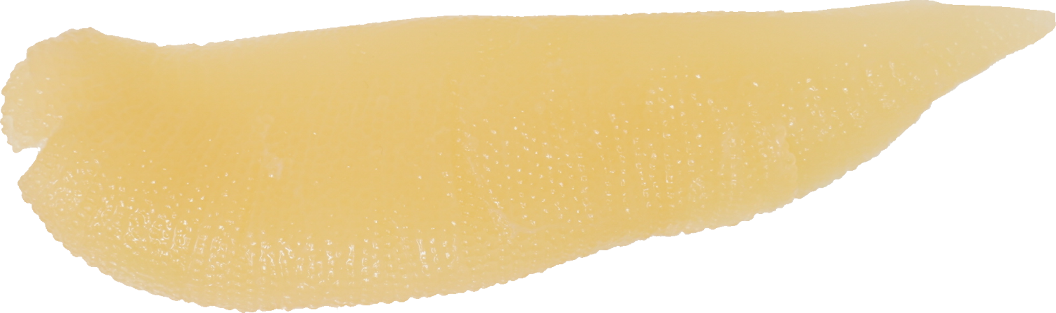 かずのこ｜商用可フリー画像・背景透過