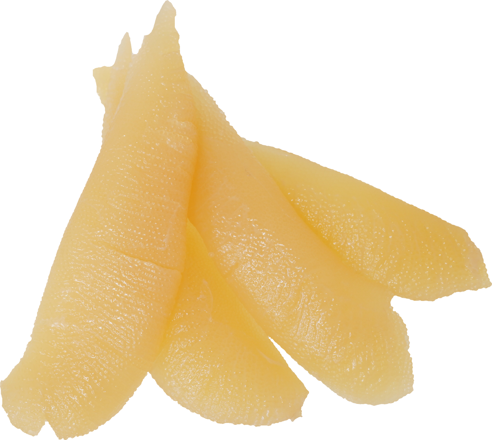 かずのこ｜商用可フリー画像・背景透過