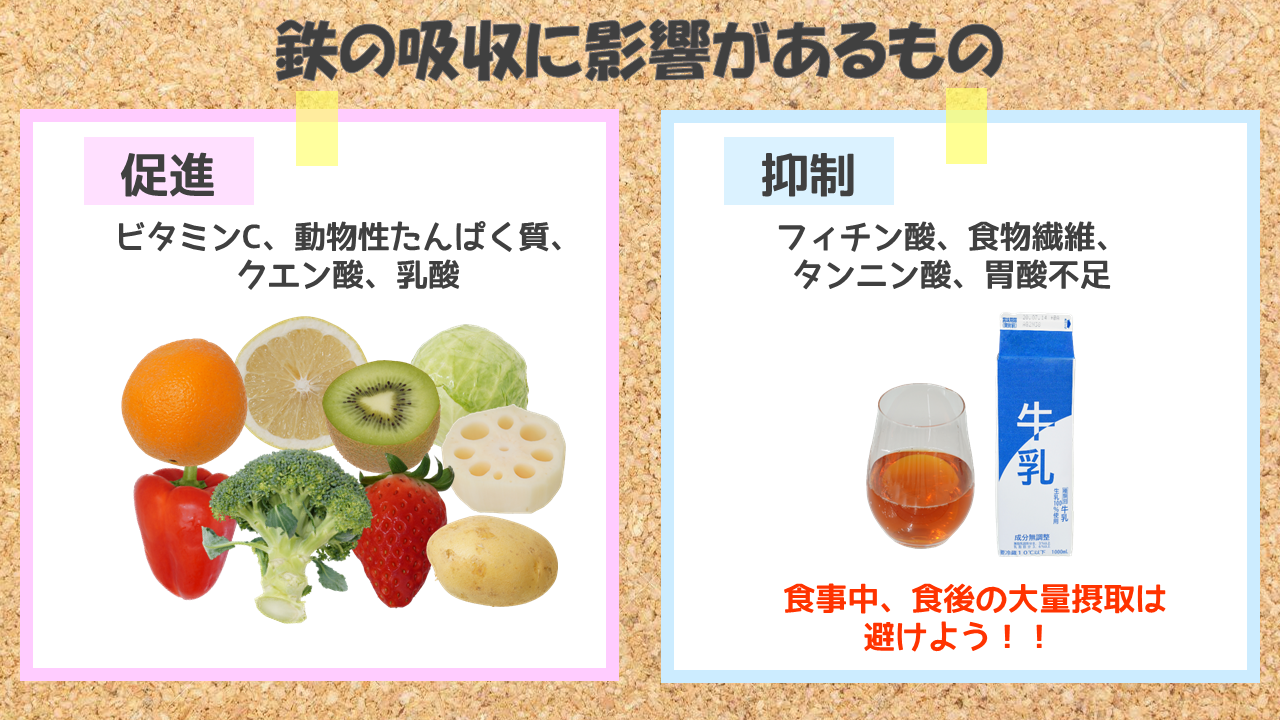 鉄の吸収に影響がある食材や飲料｜商用可フリー画像・背景透過