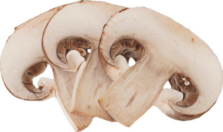 マッシュルーム（ブラウン）｜商用可フリー画像・背景透過