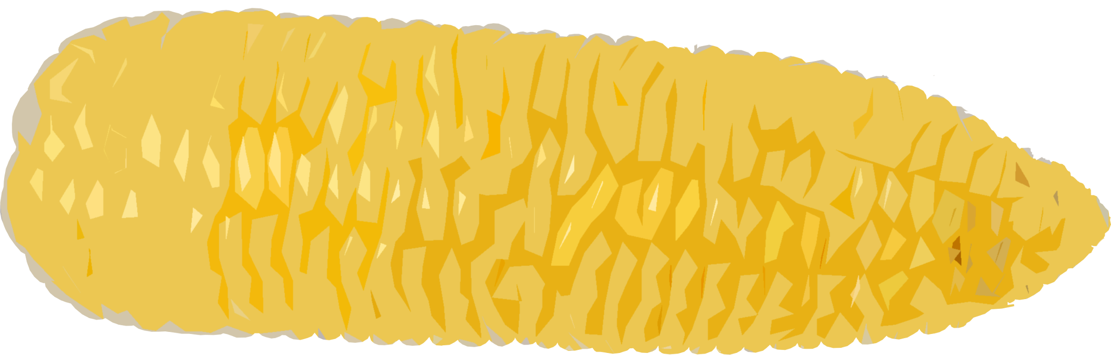 とうもろこしのイラスト｜商用可フリー画像・背景透過