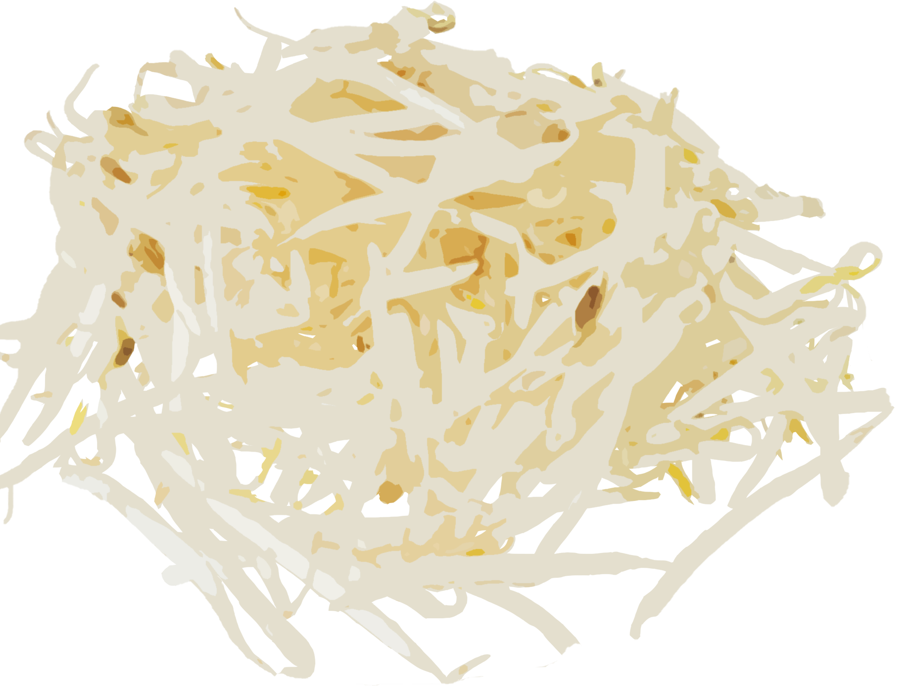 もやしのイラスト｜商用可フリー画像・背景透過