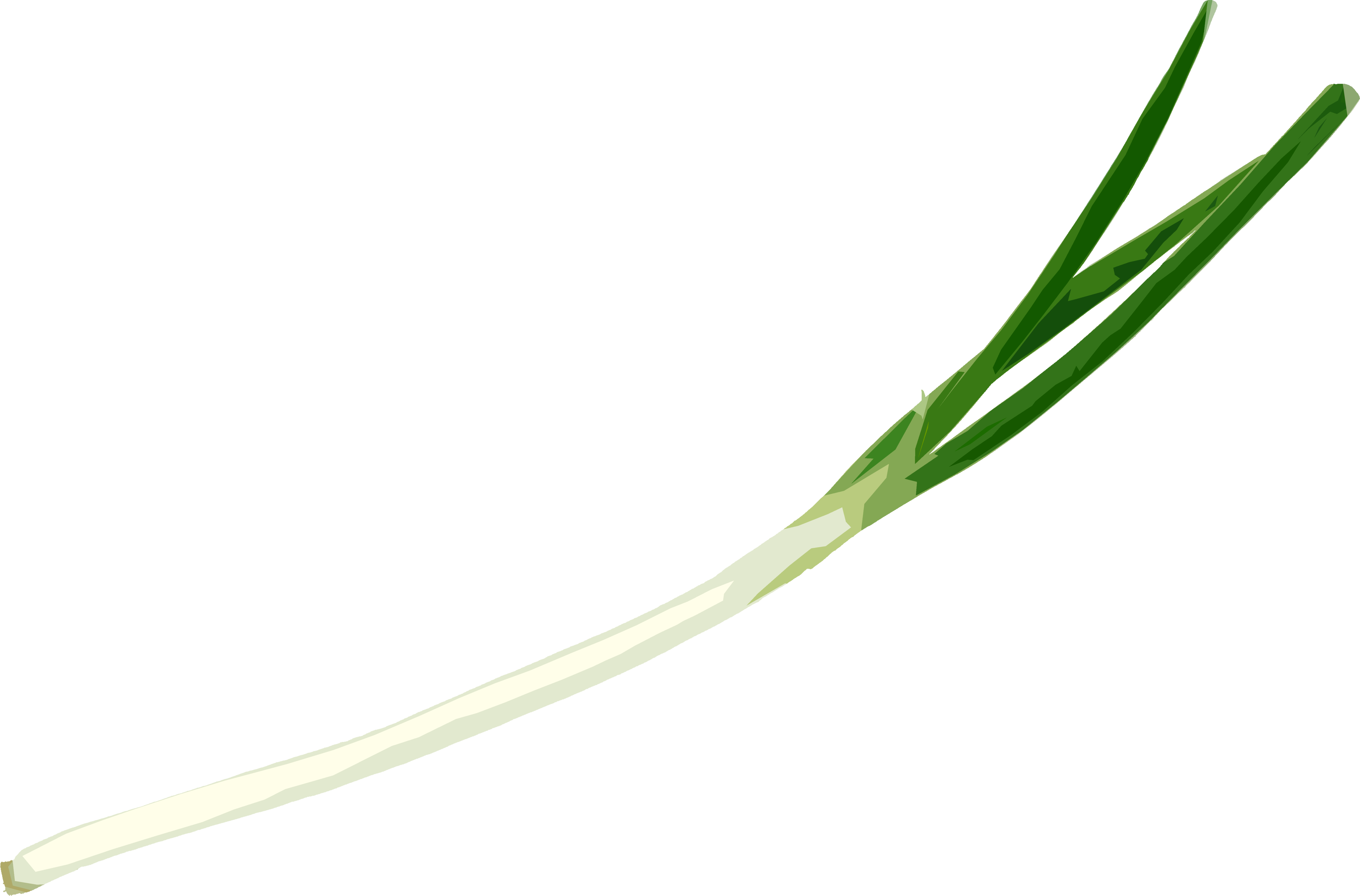 ねぎのイラスト｜商用可フリー画像・背景透過