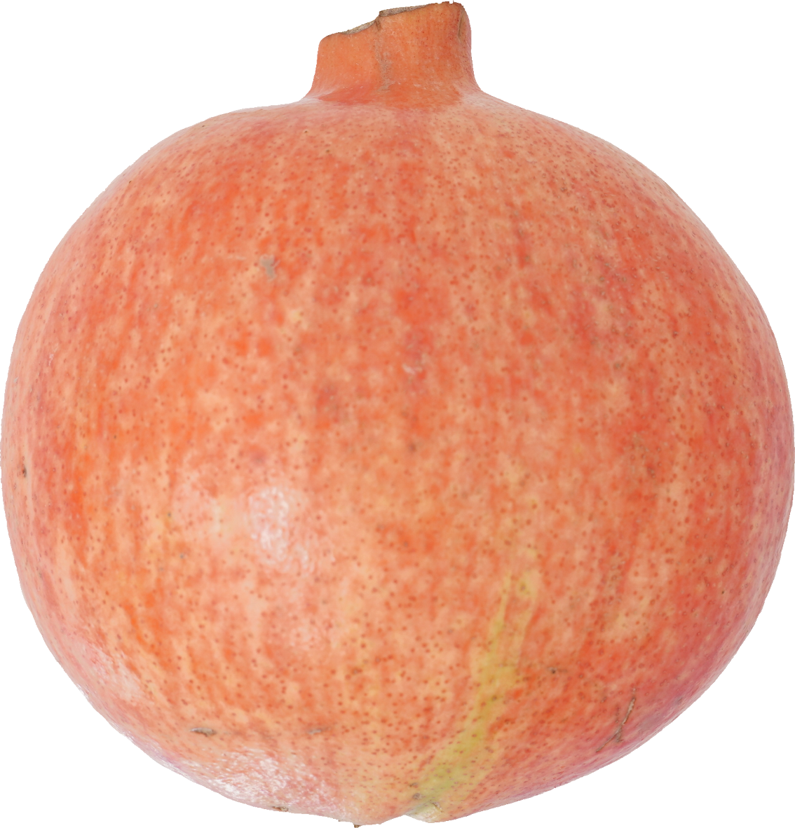 ざくろ｜商用可フリー画像・背景透過