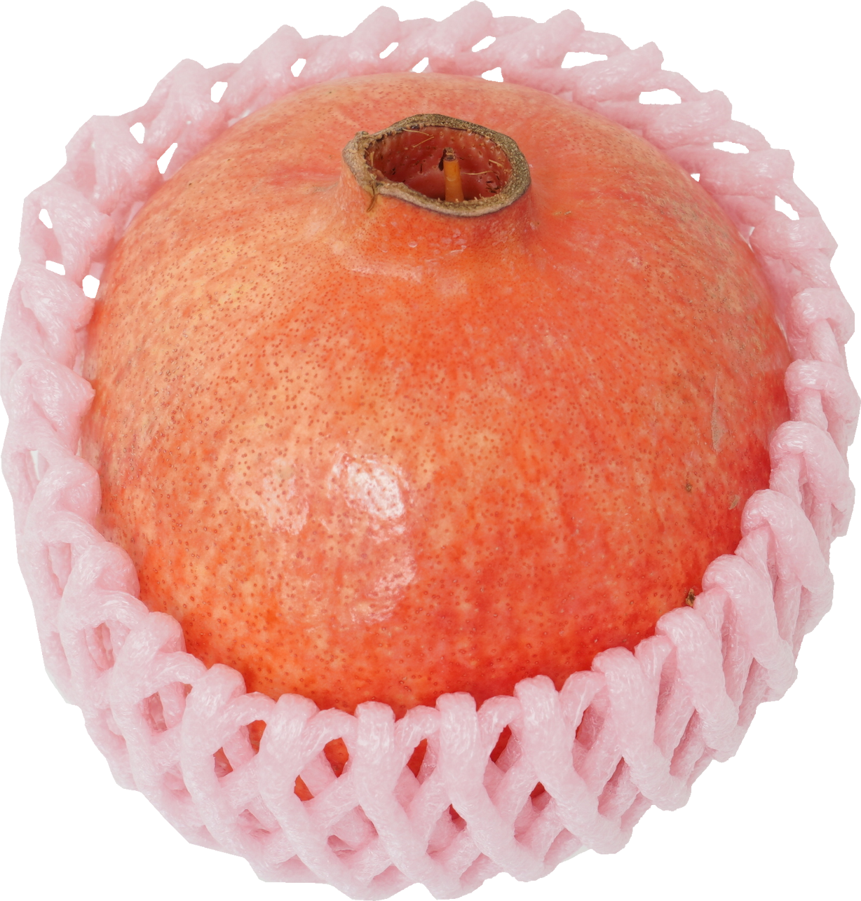 ざくろ｜商用可フリー画像・背景透過