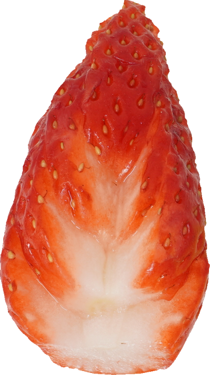 いちご｜商用可フリー画像・背景透過