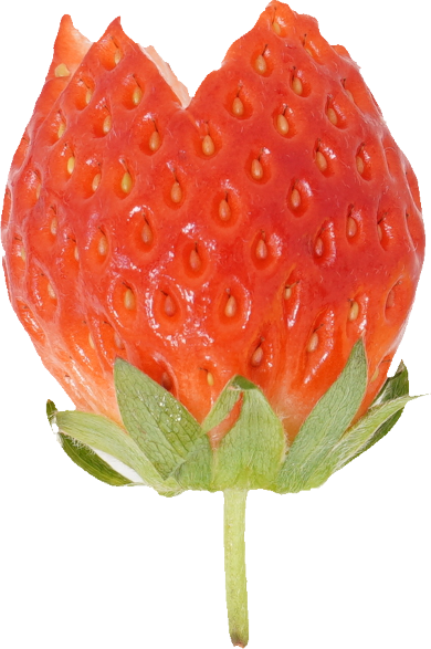 いちご｜商用可フリー画像・背景透過