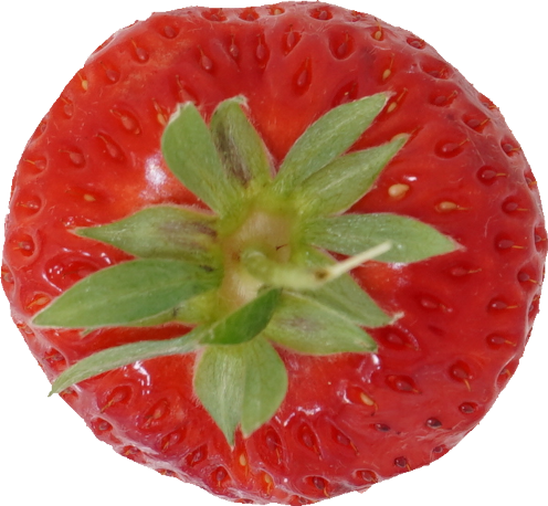 いちご｜商用可フリー画像・背景透過