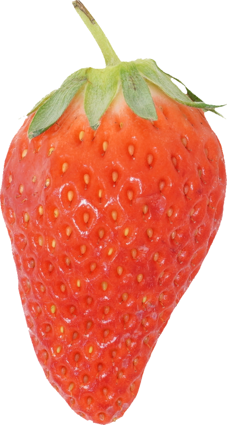 いちご｜商用可フリー画像・背景透過
