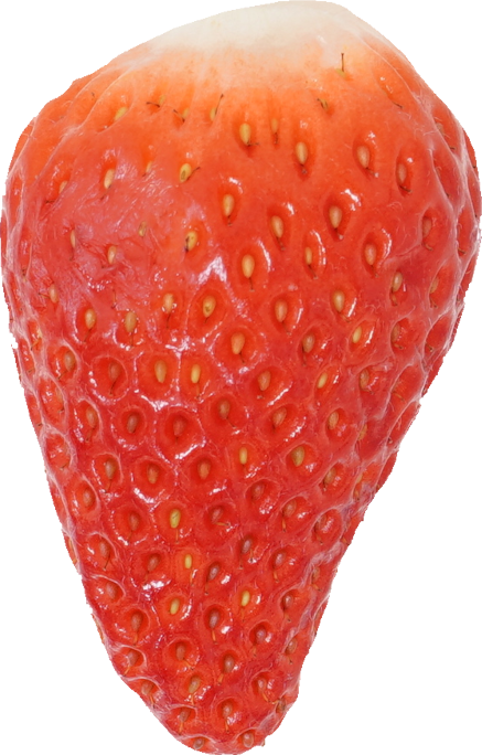 いちご｜商用可フリー画像・背景透過