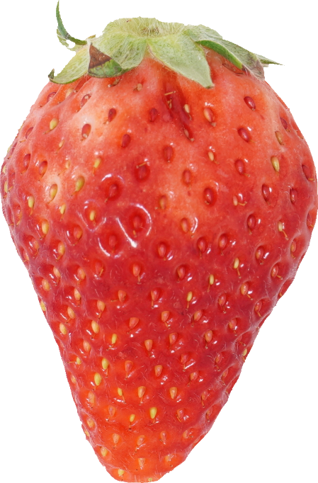 いちご｜商用可フリー画像・背景透過