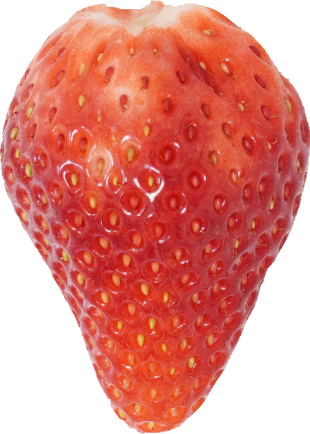 いちご｜商用可フリー画像・背景透過