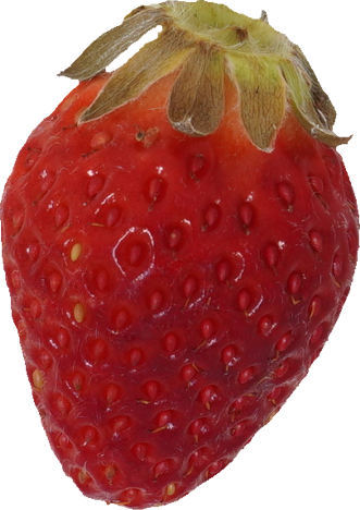 いちご｜商用可フリー画像・背景透過
