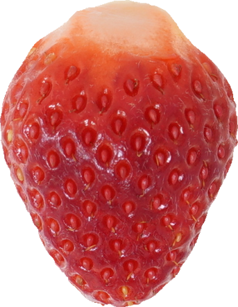 いちご｜商用可フリー画像・背景透過
