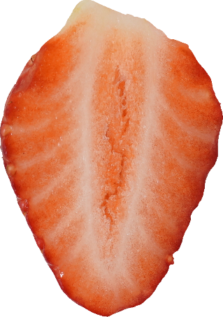 いちご｜商用可フリー画像・背景透過