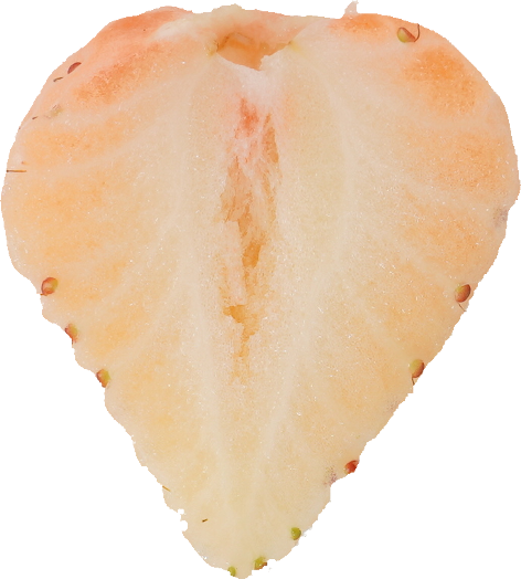 いちご｜商用可フリー画像・背景透過