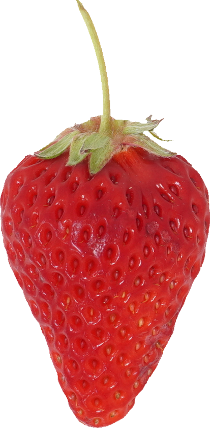 いちご｜商用可フリー画像・背景透過