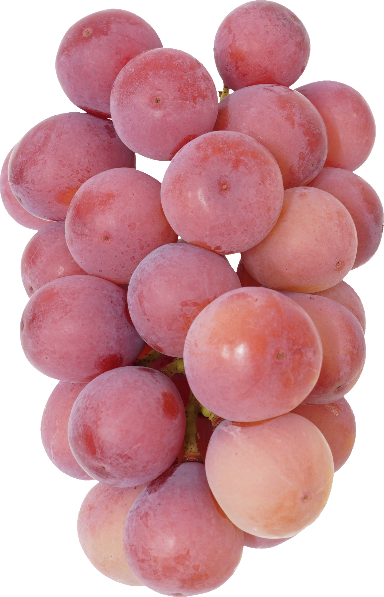 ぶどう｜商用可フリー画像・背景透過