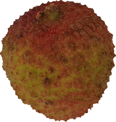 ライチ｜商用可フリー画像・背景透過