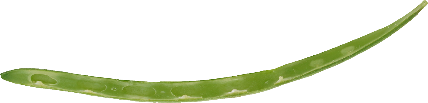 さやいんげん｜商用可フリー画像・背景透過