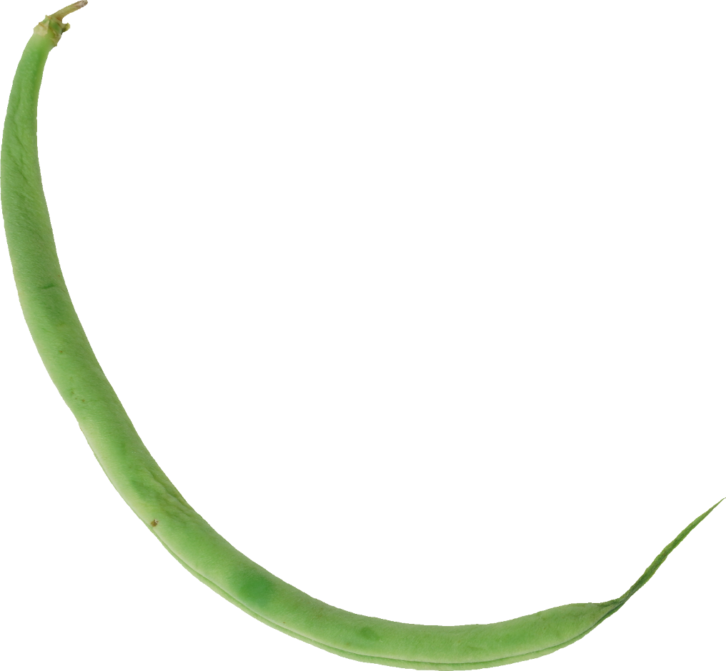 さやいんげん｜商用可フリー画像・背景透過