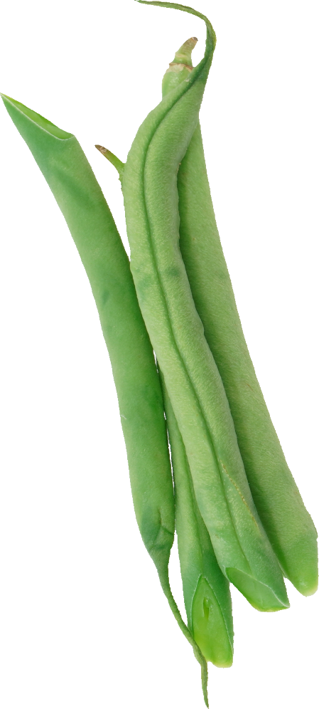 さやいんげん｜商用可フリー画像・背景透過