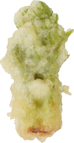 たらのめ（天ぷら）｜商用可フリー画像・背景透過