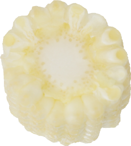 ヤングコーン｜商用可フリー画像・背景透過