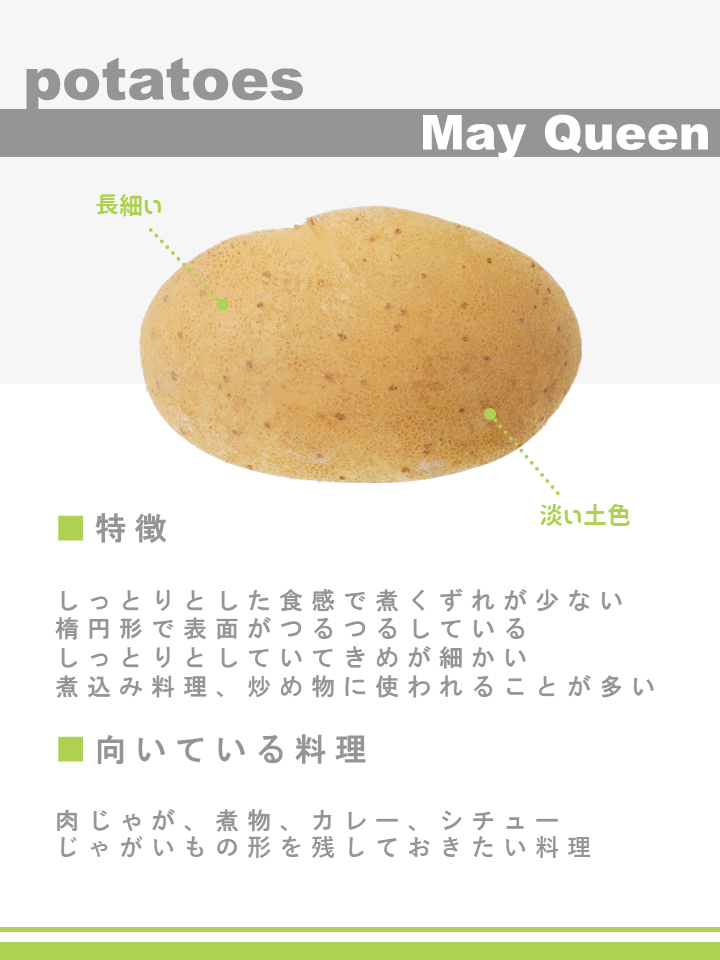 じゃがいもの種類による違い！～メークインと男爵いも～｜商用可フリー画像・背景透過