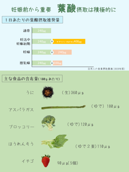 妊娠前から重要！積極的に葉酸を摂ろう！｜商用可フリー画像・背景透過