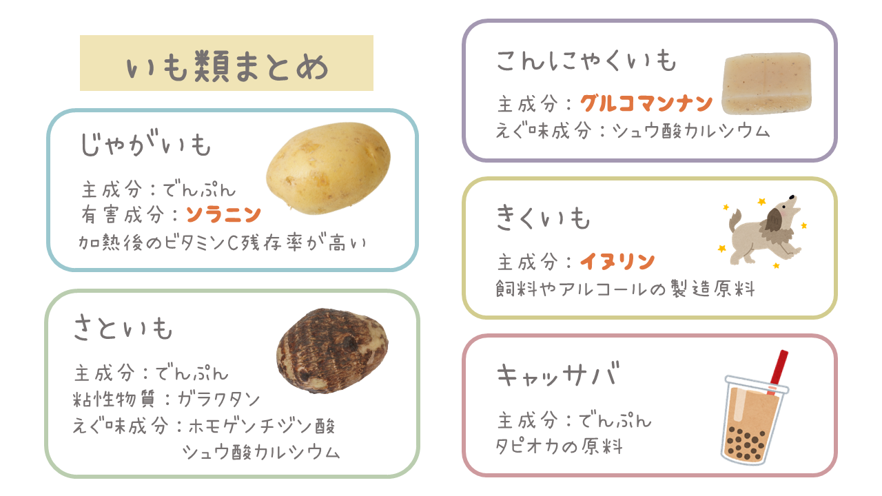 いもはじゃがいもだけじゃない！！いもの種類まとめ｜商用可フリー画像・背景透過