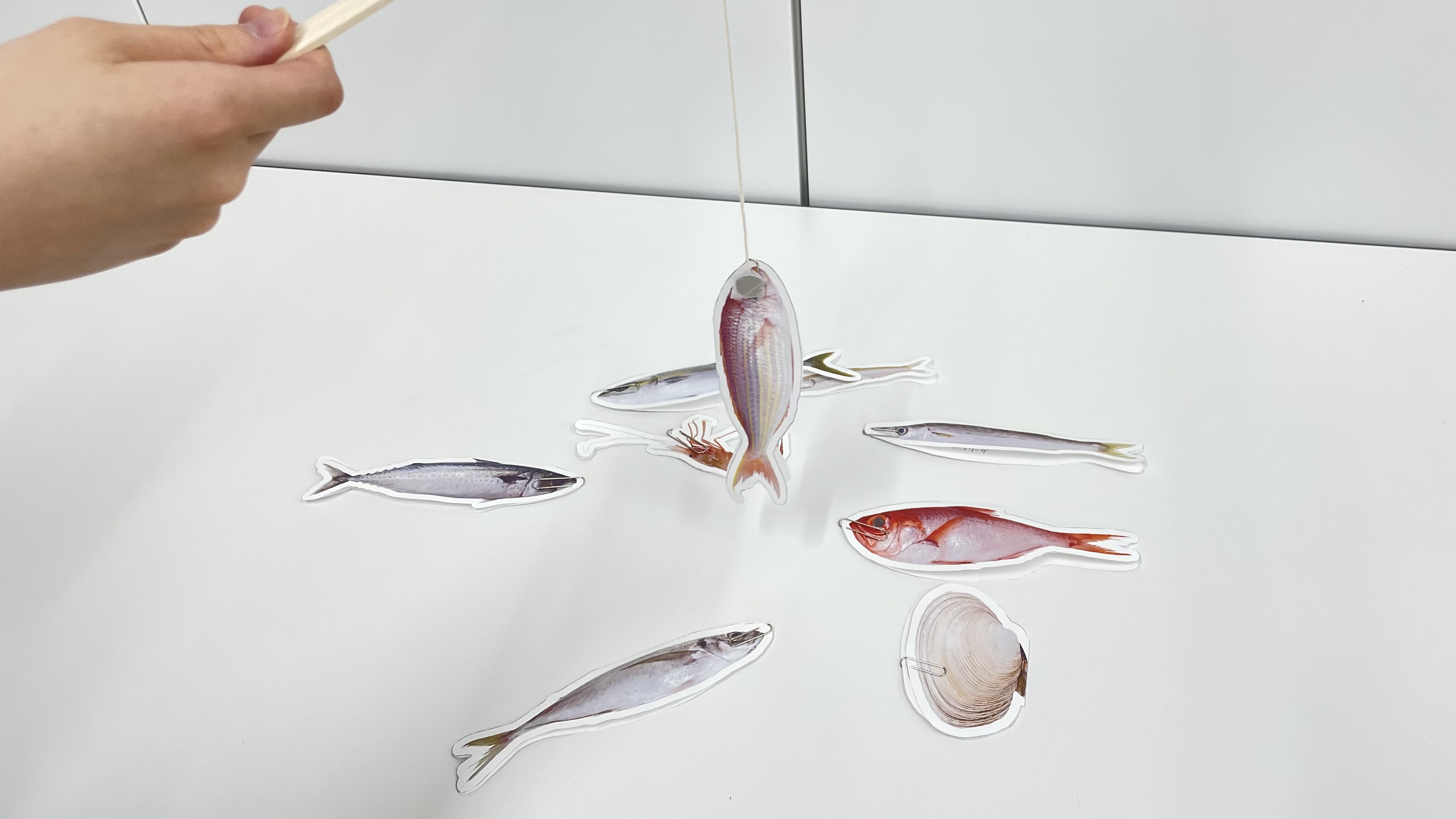 new!!たくさん釣って学ぼう！リアルお魚釣り｜商用可フリー画像・背景透過