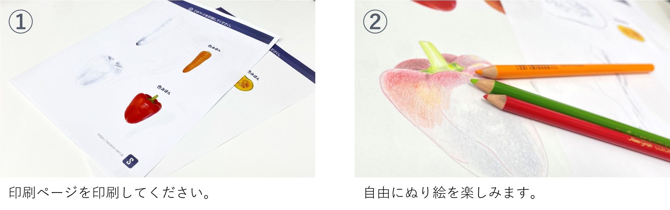 影があるからリアルにぬれる！リアル食べ物ぬり絵｜商用可フリー画像・背景透過