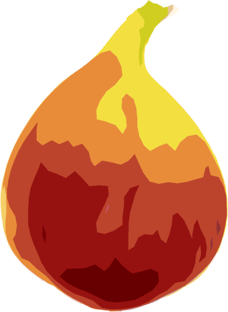 いちじくのイラスト｜商用可フリー画像・背景透過