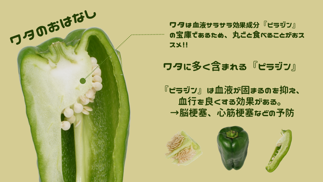 ピーマンのワタの栄養価は見逃せない!|商用可フリー画像・背景透過
