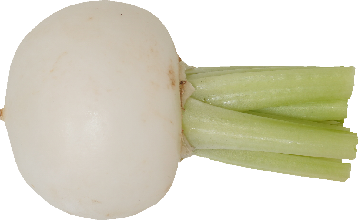 かぶ｜商用可フリー画像・背景透過