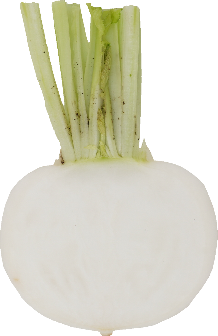 かぶ｜商用可フリー画像・背景透過