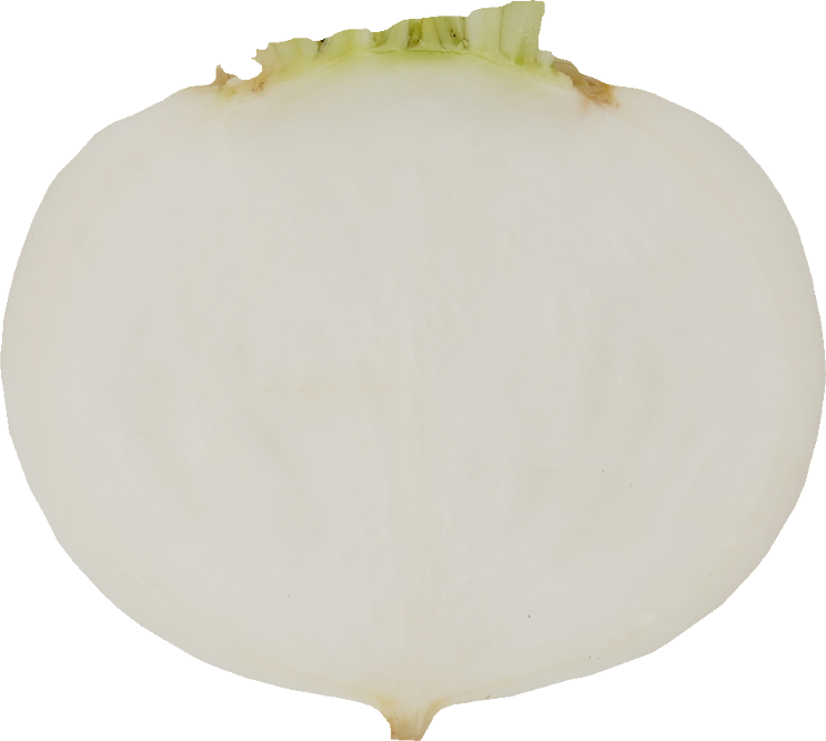 かぶ｜商用可フリー画像・背景透過