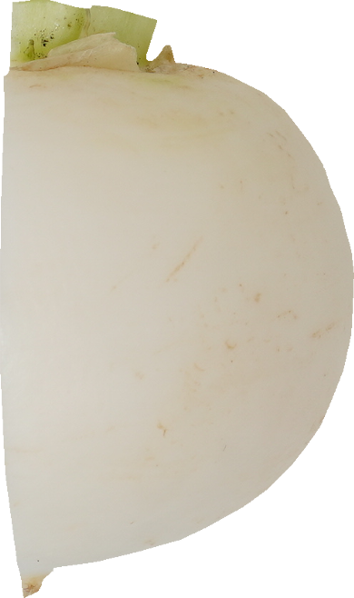 かぶ｜商用可フリー画像・背景透過