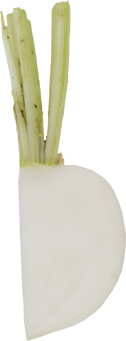 かぶ｜商用可フリー画像・背景透過