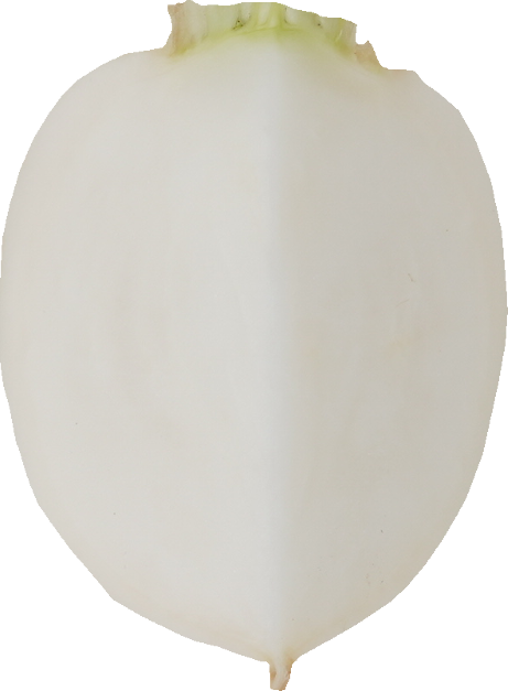 かぶ｜商用可フリー画像・背景透過