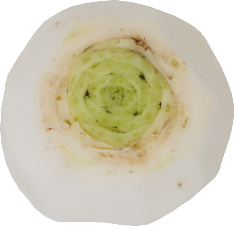 かぶ｜商用可フリー画像・背景透過