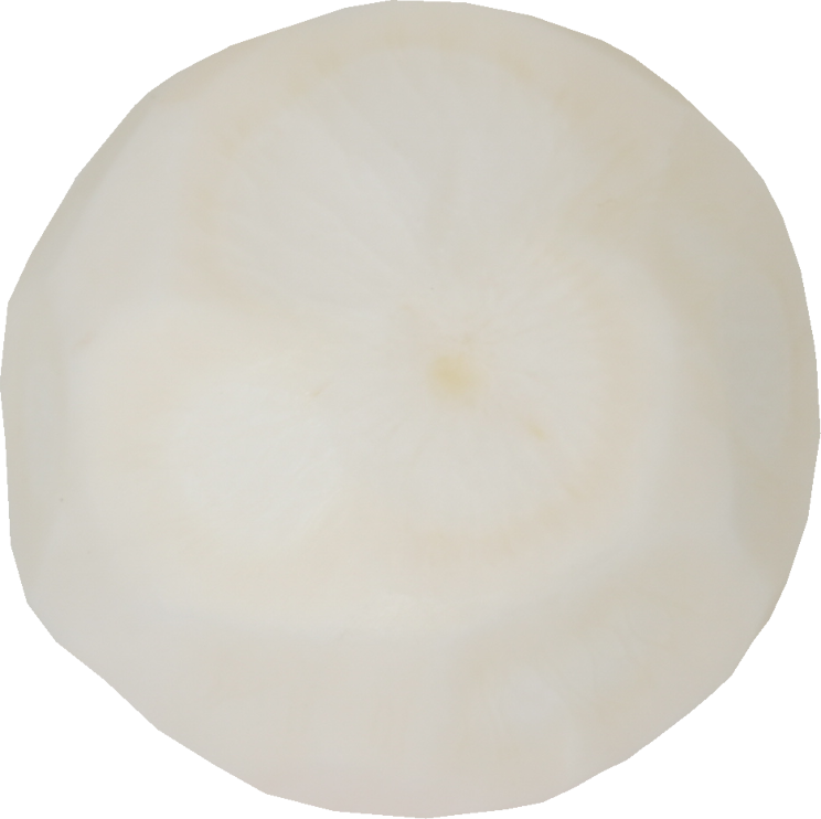 かぶ｜商用可フリー画像・背景透過