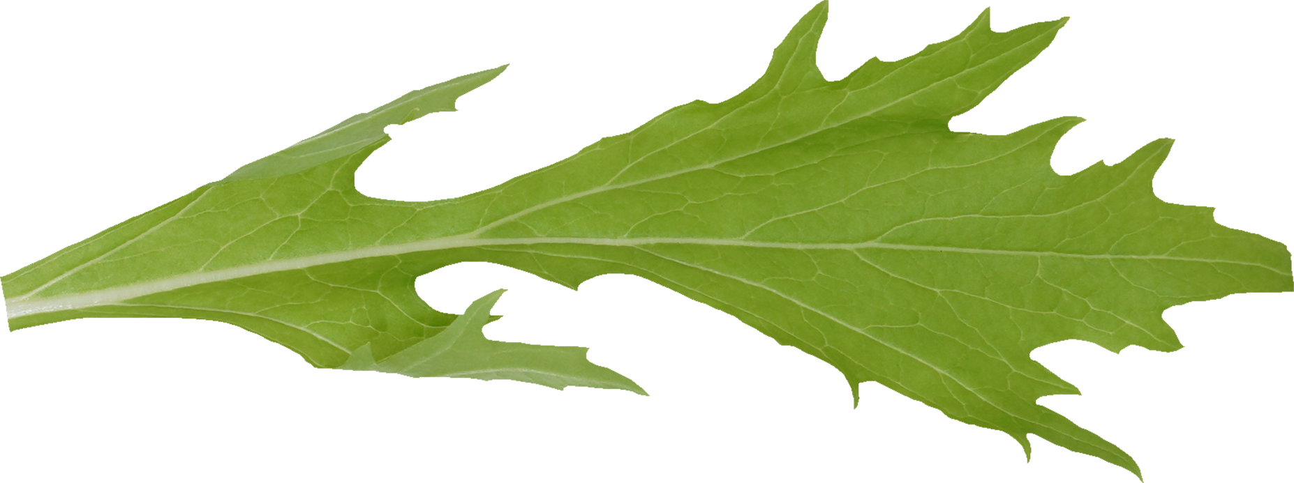 みずな｜商用可フリー画像・背景透過