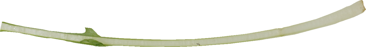 みずな｜商用可フリー画像・背景透過