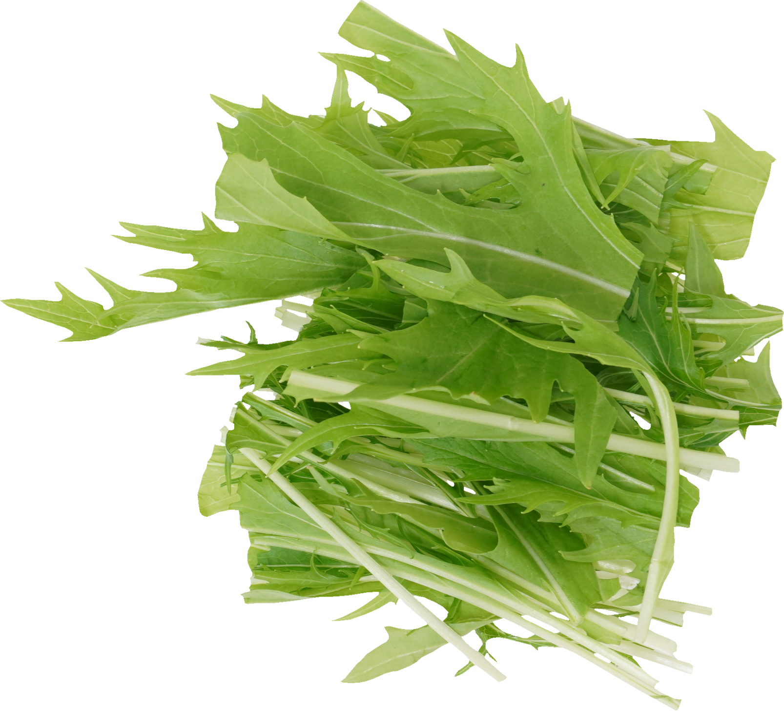 みずな｜商用可フリー画像・背景透過