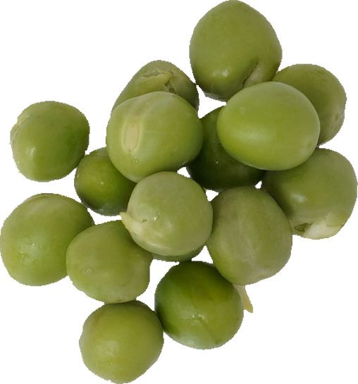 グリンピース｜商用可フリー画像・背景透過