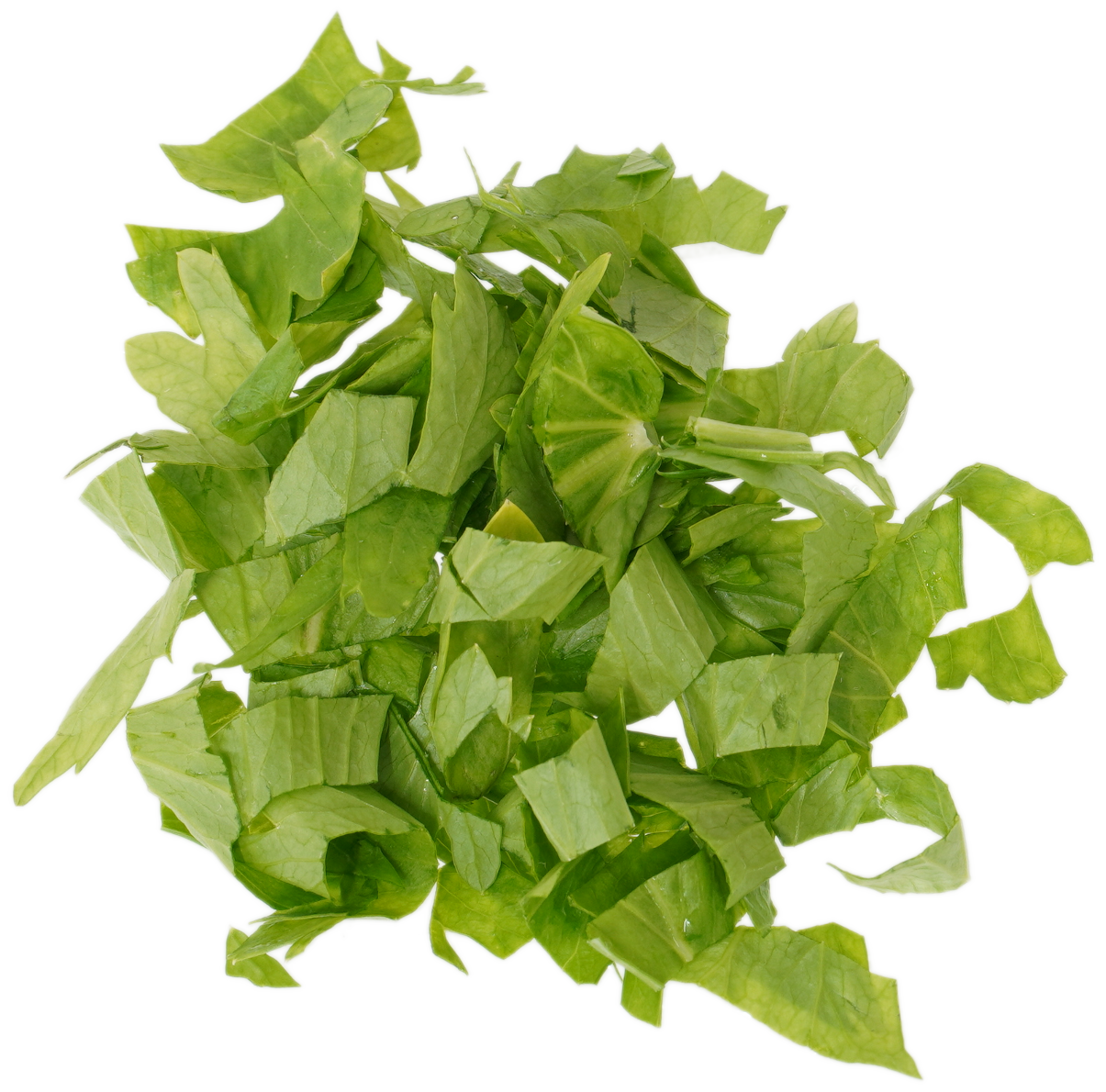 セロリ｜商用可フリー画像・背景透過