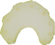 セロリ｜商用可フリー画像・背景透過